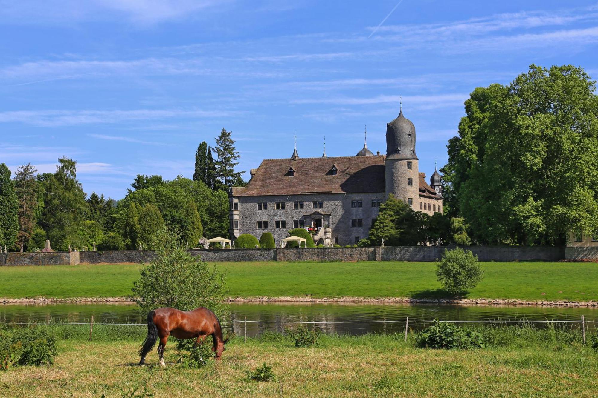 Ferienwohnungen Am Weserstrand Bodenwerder Exteriör bild